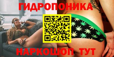 ALPHA PVP Кингисепп